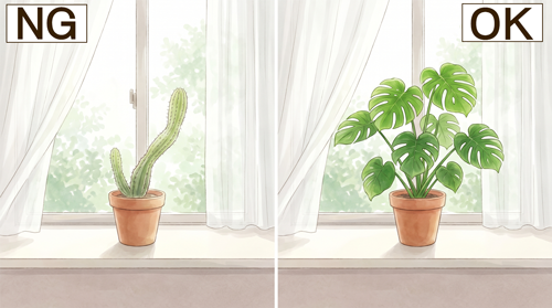 明るい間接光